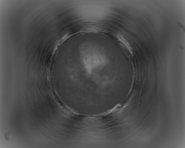 X0000093231481200710171407