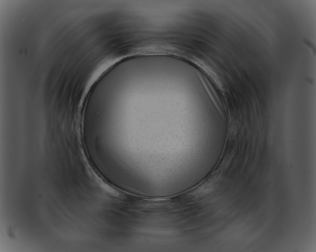 X0000093231486200710171407