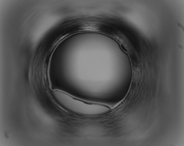 X0000093231487200710171407