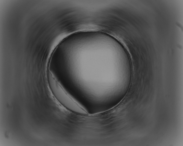 X0000093231488200710171407