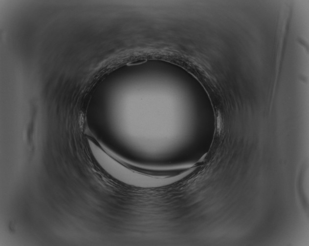 X0000093231492200710171407