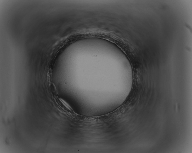 X0000093231493200710171407