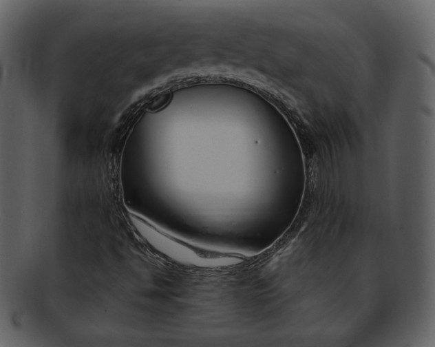 X0000093231494200710171407