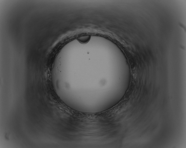 X0000093231495200710171407