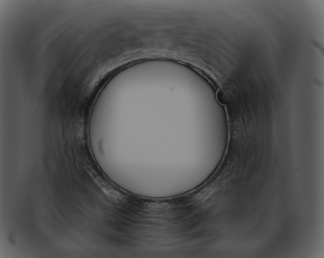 X0000093231499200710171407