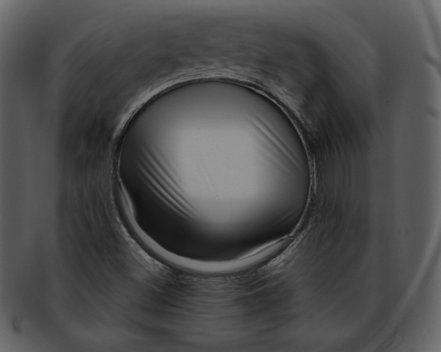 X0000093231500200710171407