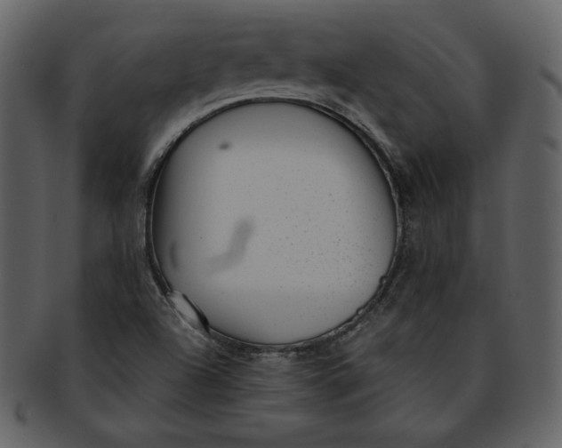 X0000093231504200710171407