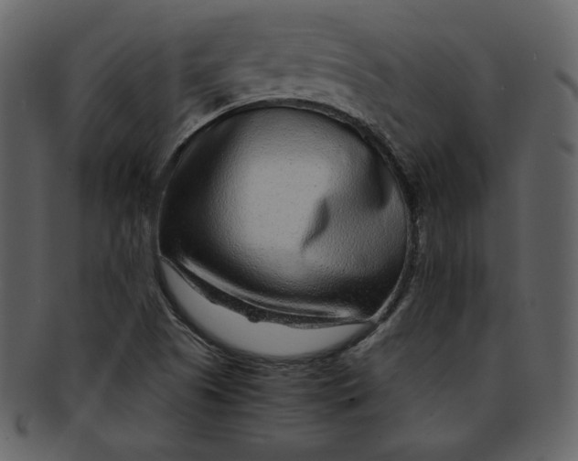 X0000093231505200710171407