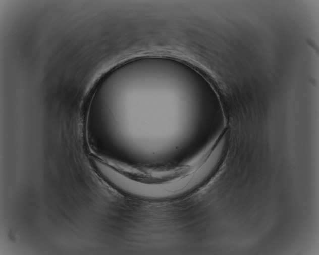 X0000093231506200710171407