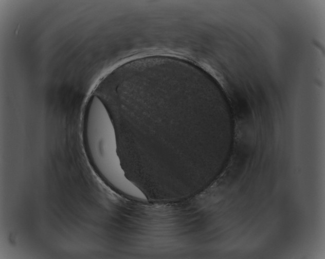 X0000093231508200710171407