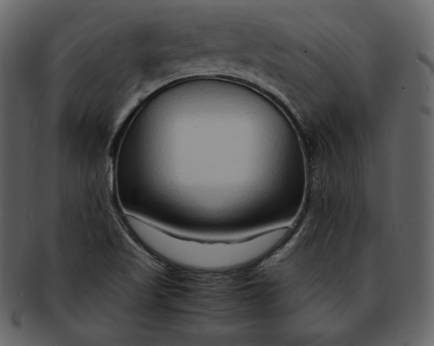 X0000093231509200710171407