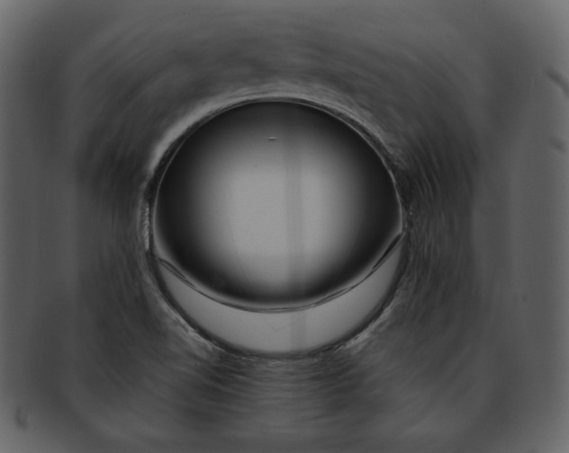 X0000093231510200710171407