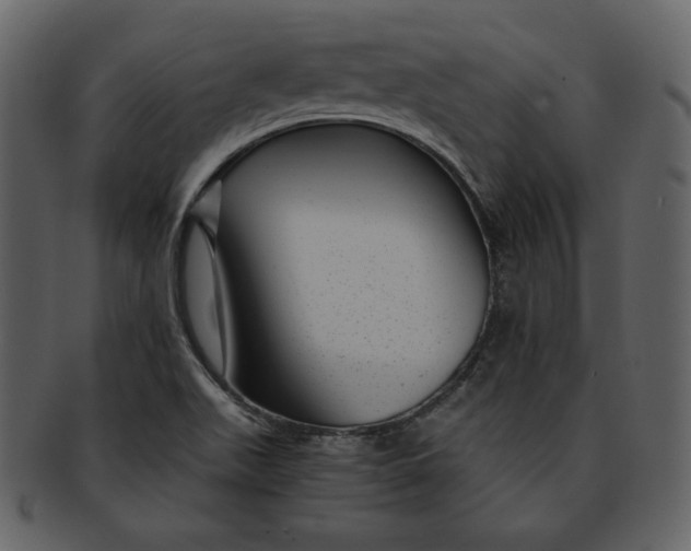 X0000093231511200710171407