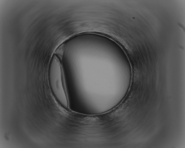 X0000093231513200710171407