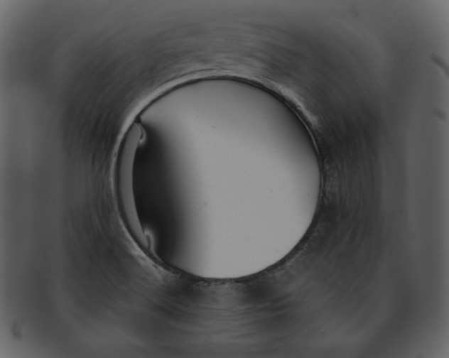 X0000093231516200710171407