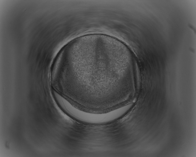 X0000093231519200710171407