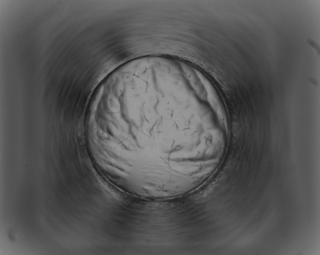 X0000093231521200710171407