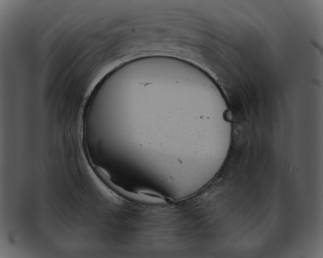 X0000093231523200710171407