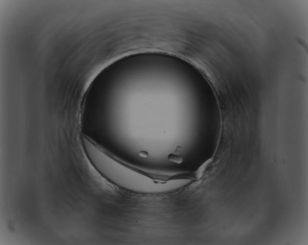 X0000093231524200710171407