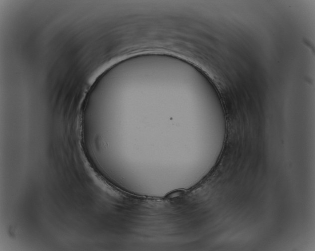 X0000093231526200710171407