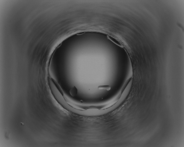 X0000093231528200710171407