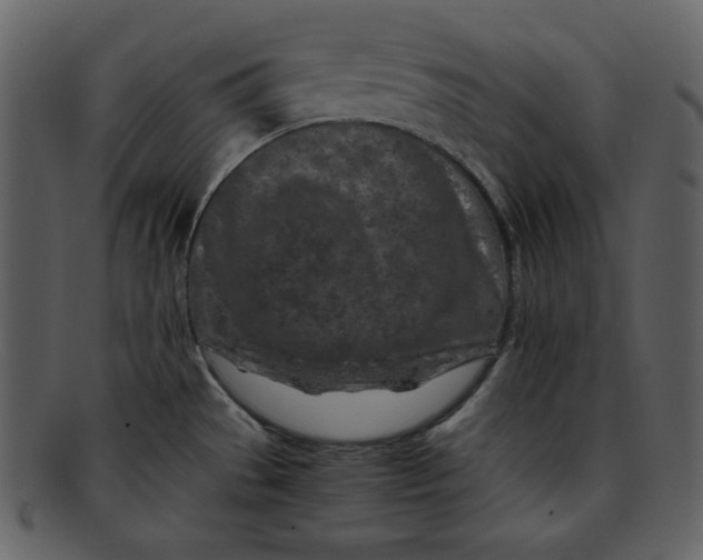 X0000093231529200710171407