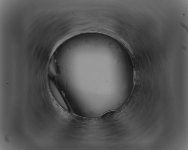 X0000093231530200710171407