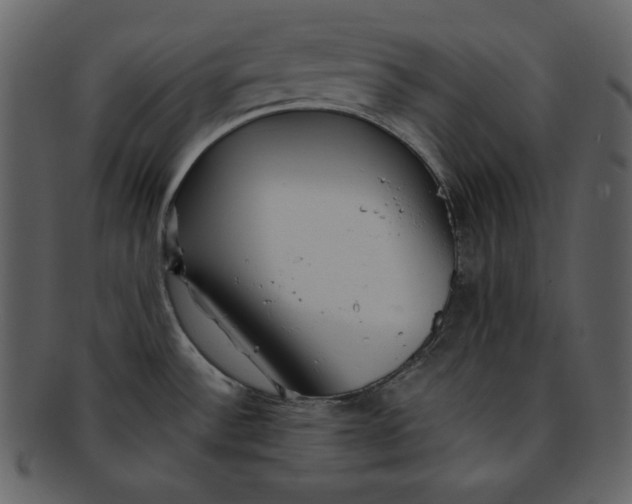 X0000093231532200710171407