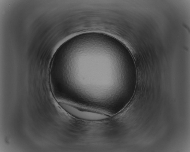 X0000093231534200710171407