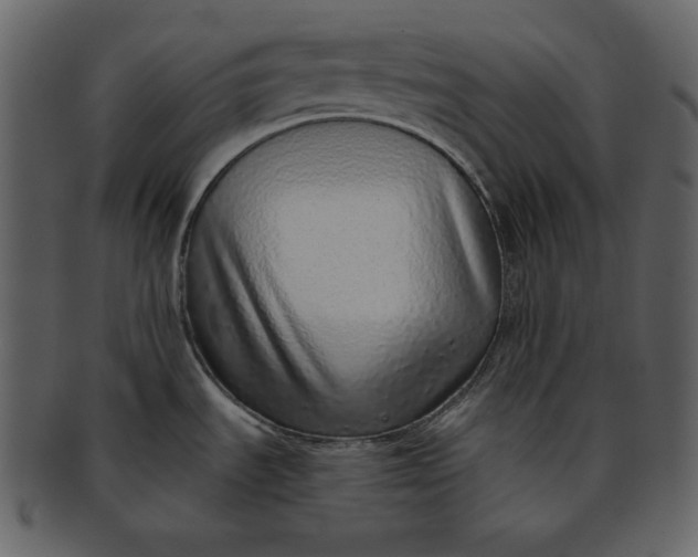 X0000093231535200710171407