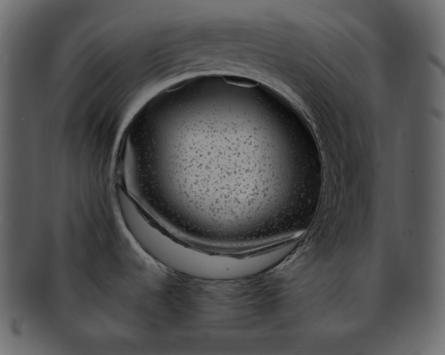 X0000093231536200710171407