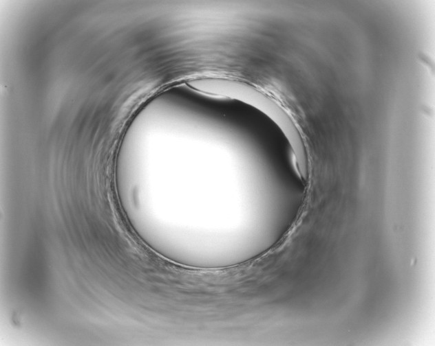 X0000093230001200710241245