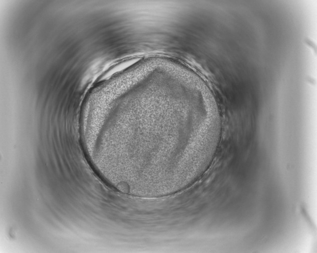 X0000093230002200710241245