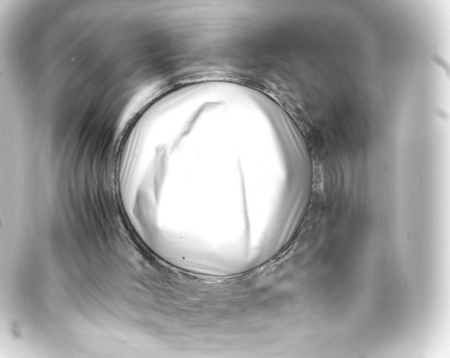 X0000093230004200710241245