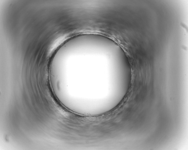 X0000093230005200710241245