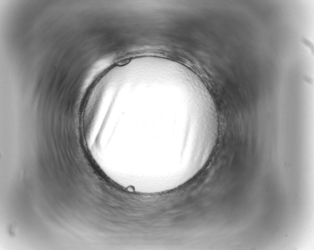 X0000093230006200710241245