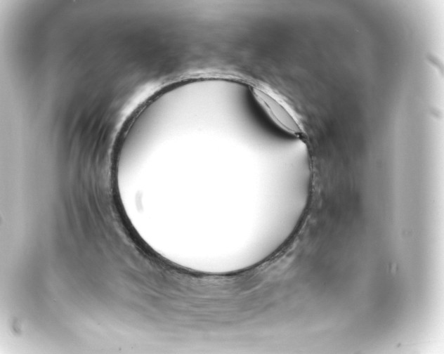 X0000093230008200710241245