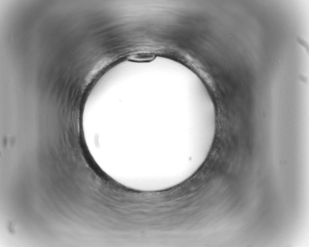 X0000093230011200710241245