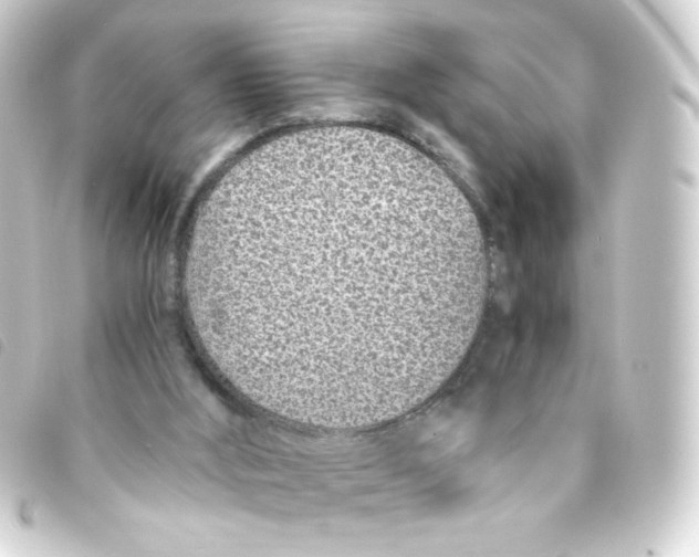 X0000093230012200710241245