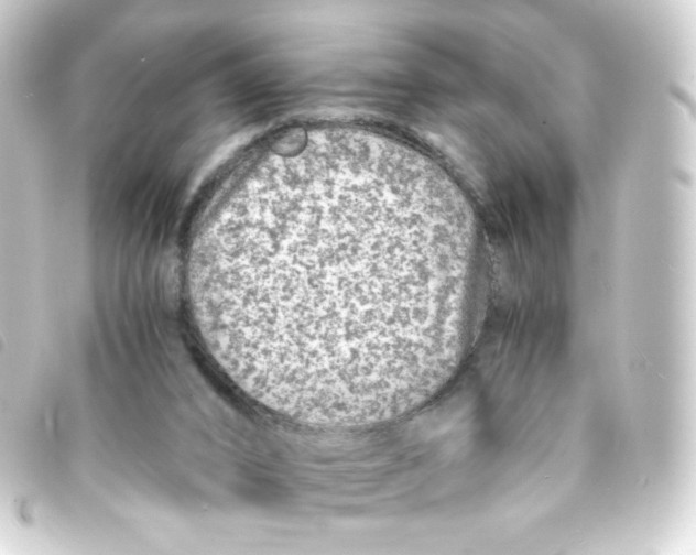 X0000093230016200710241245