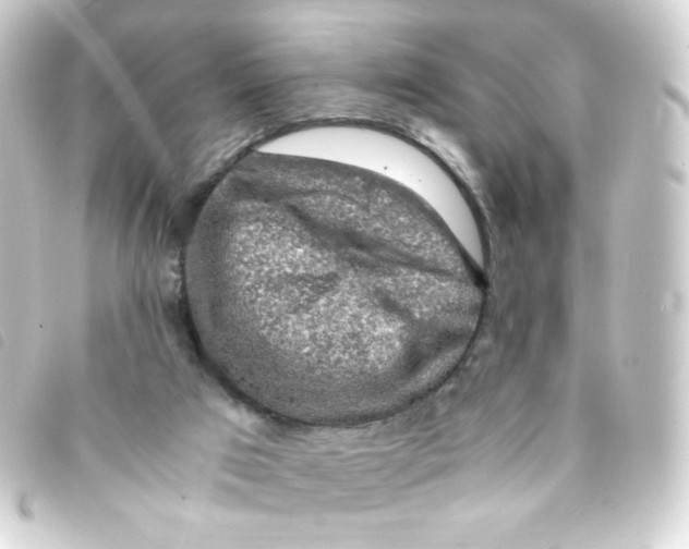 X0000093230017200710241245