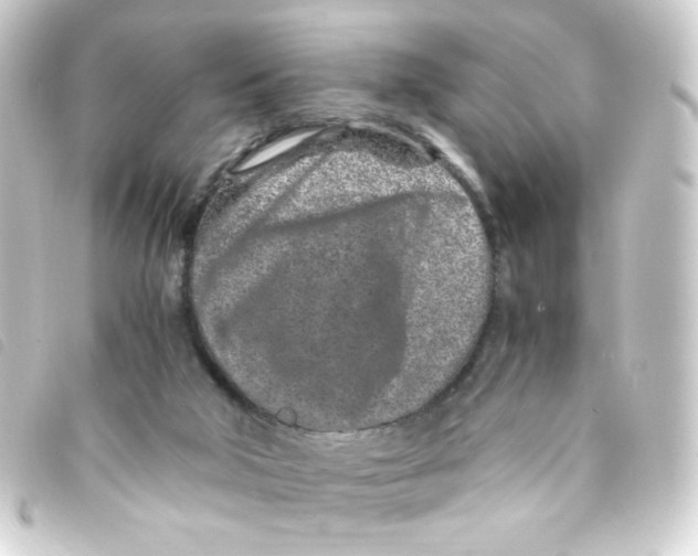 X0000093230018200710241245