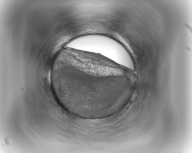 X0000093230019200710241245