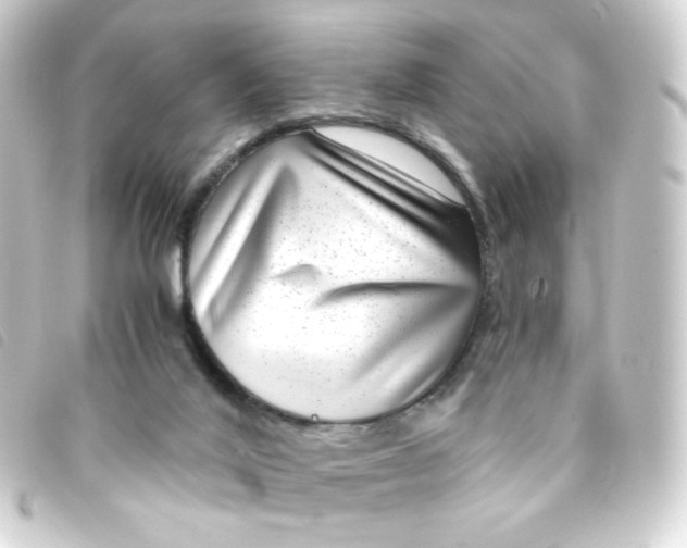 X0000093230020200710241245