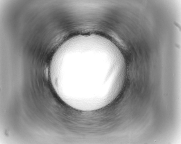 X0000093230022200710241245