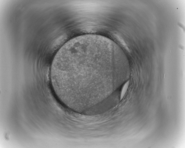 X0000093230023200710241245