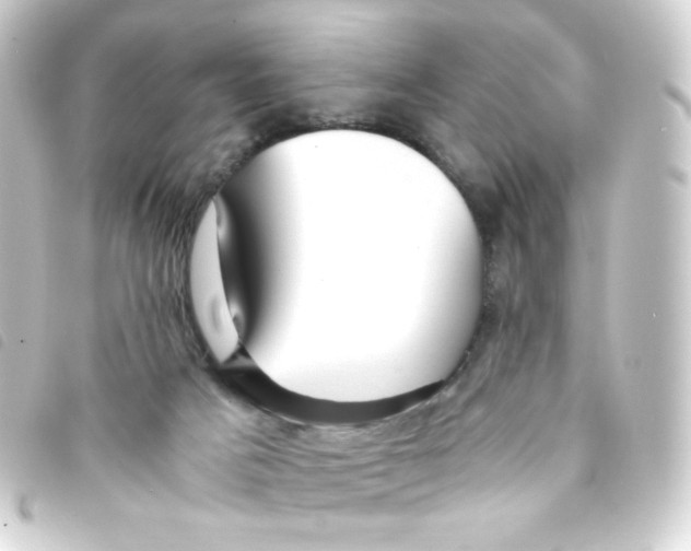 X0000093230025200710241245