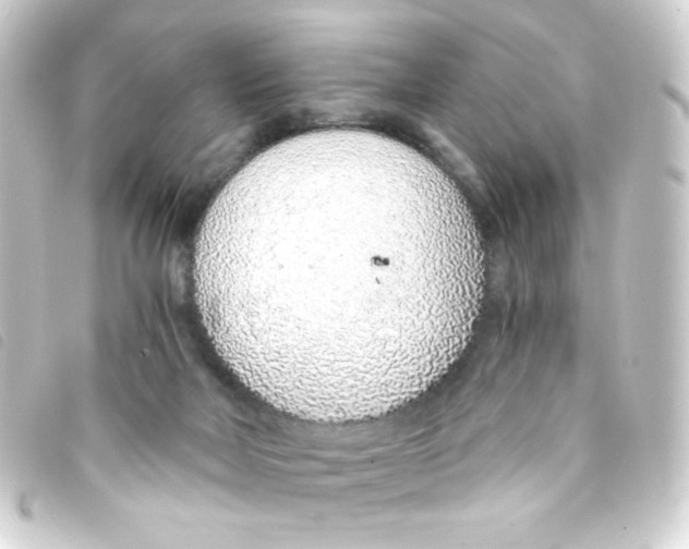 X0000093230026200710241245