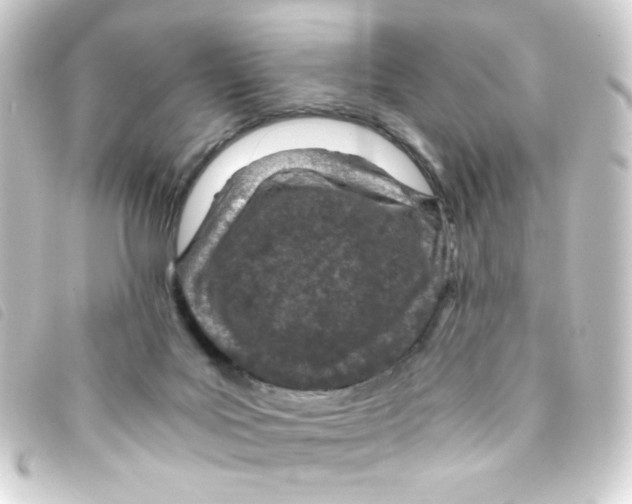 X0000093230027200710241245