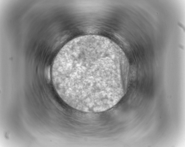 X0000093230028200710241245